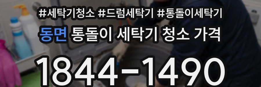 동면 통돌이 세탁기 청소 가격