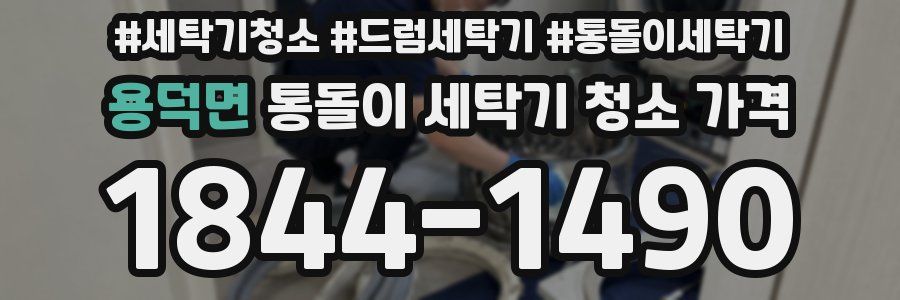 용덕면 통돌이 세탁기 청소 가격