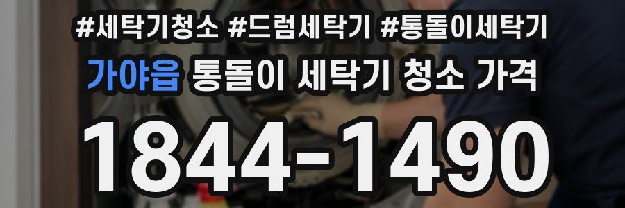 가야읍 통돌이 세탁기 청소 가격