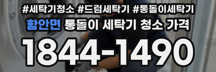 함안면 통돌이 세탁기 청소 가격