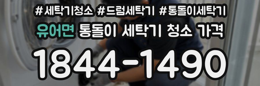 유어면 통돌이 세탁기 청소 가격