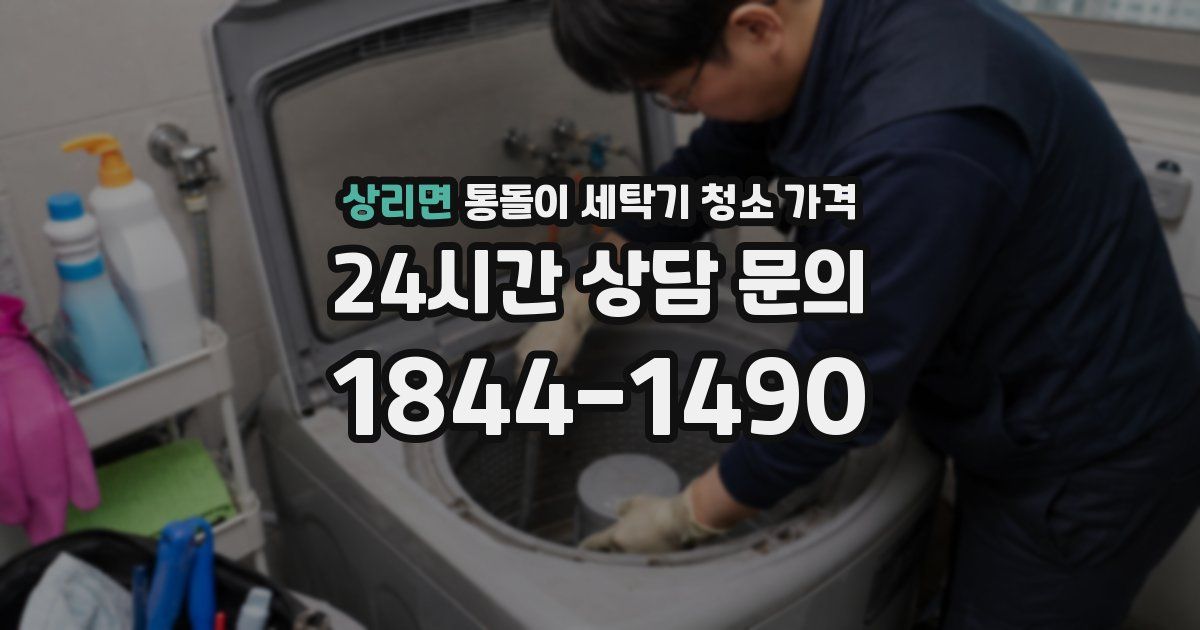상리면 통돌이 세탁기 청소 가격