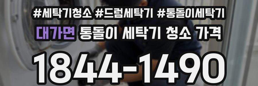 대가면 통돌이 세탁기 청소 가격