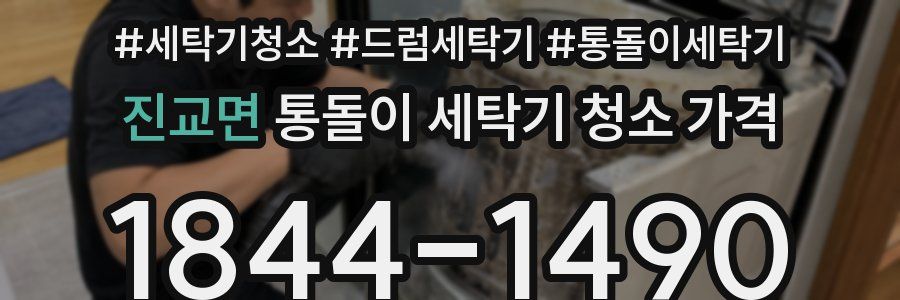 진교면 통돌이 세탁기 청소 가격