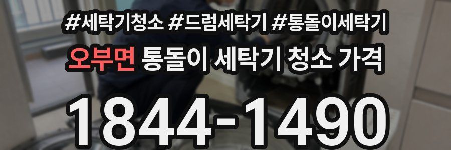 오부면 통돌이 세탁기 청소 가격