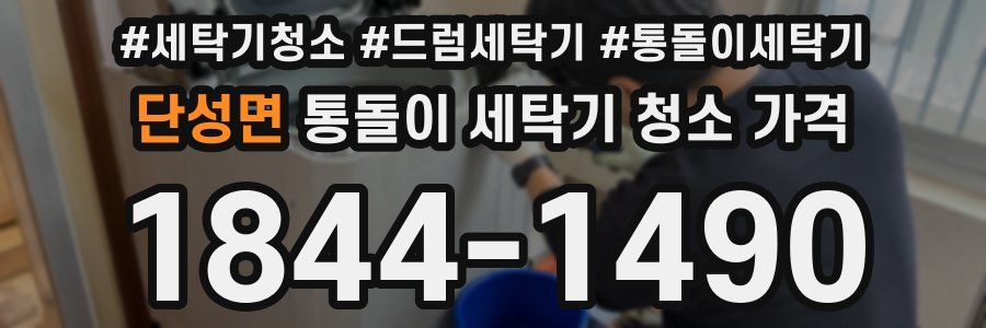 단성면 통돌이 세탁기 청소 가격