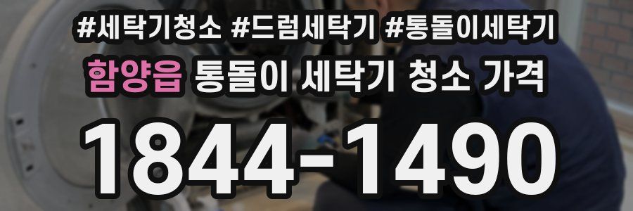 함양읍 통돌이 세탁기 청소 가격