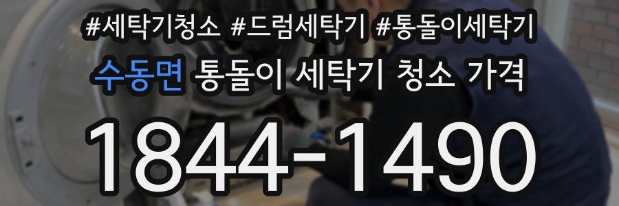 수동면 통돌이 세탁기 청소 가격