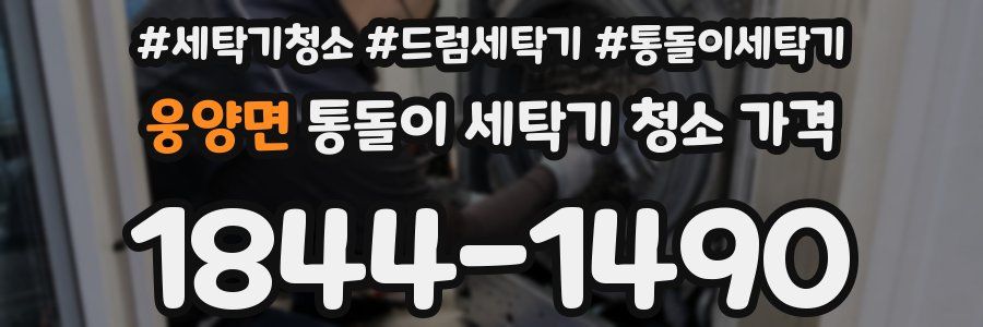 웅양면 통돌이 세탁기 청소 가격