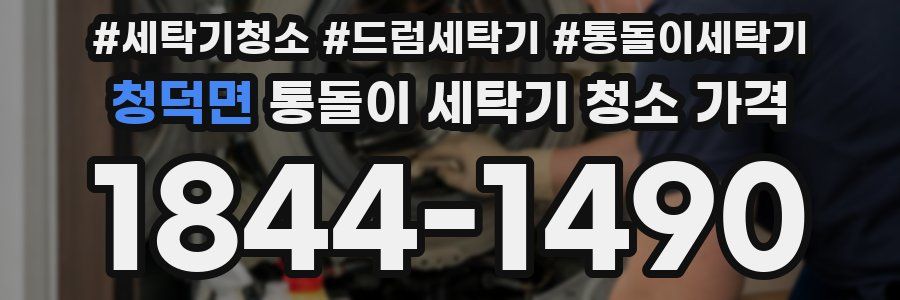 청덕면 통돌이 세탁기 청소 가격