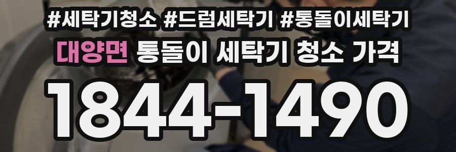 대양면 통돌이 세탁기 청소 가격