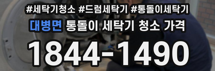 대병면 통돌이 세탁기 청소 가격