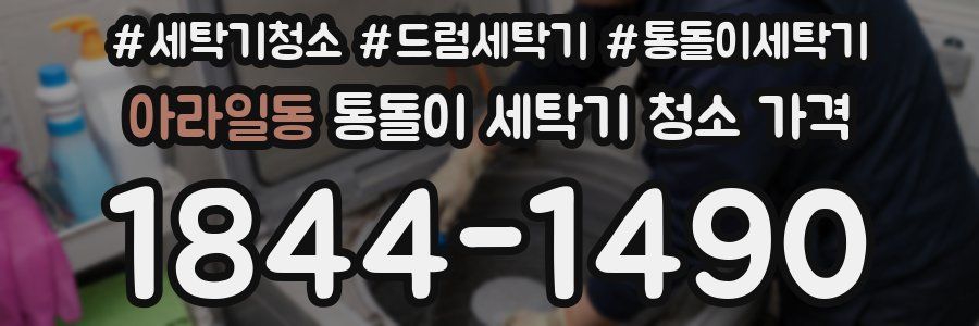 아라일동 통돌이 세탁기 청소 가격