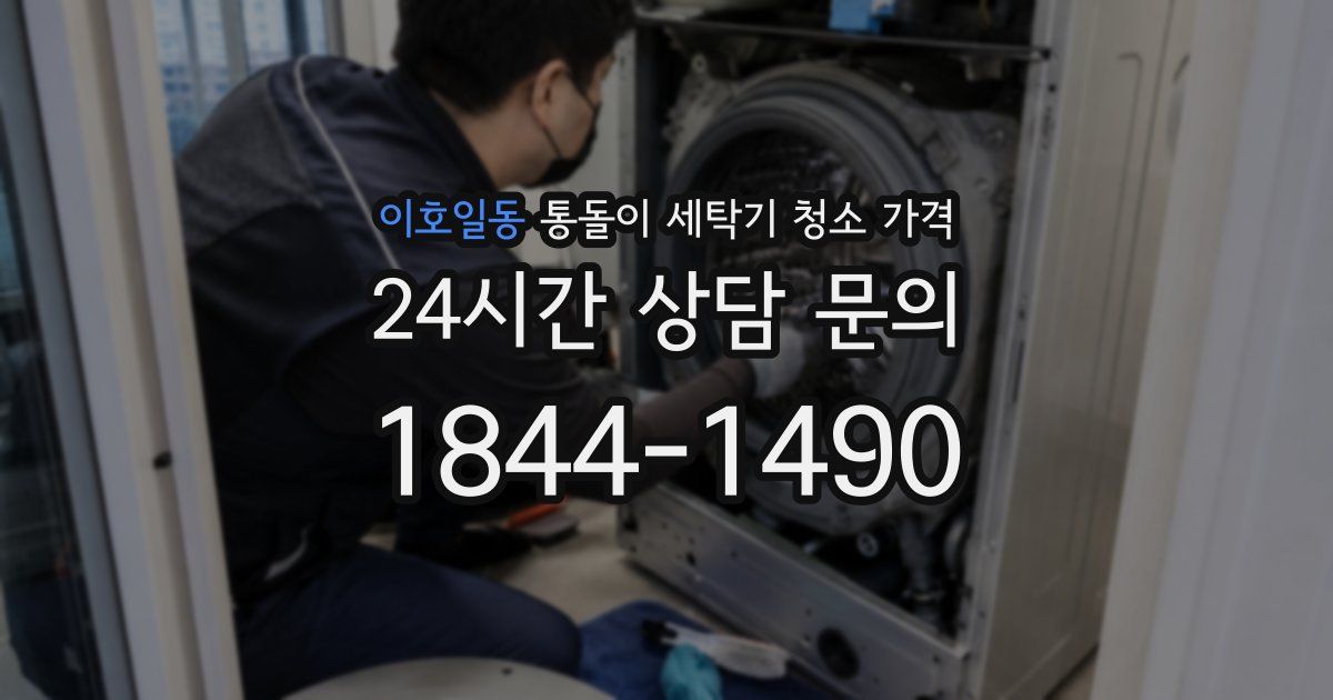 이호일동 통돌이 세탁기 청소 가격