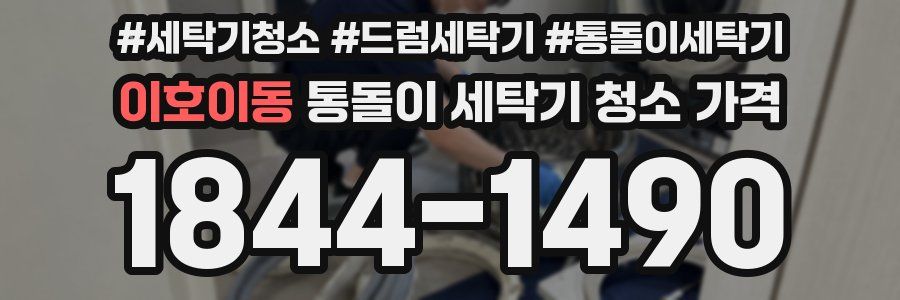 이호이동 통돌이 세탁기 청소 가격