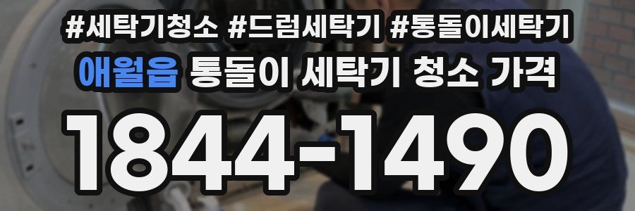 애월읍 통돌이 세탁기 청소 가격