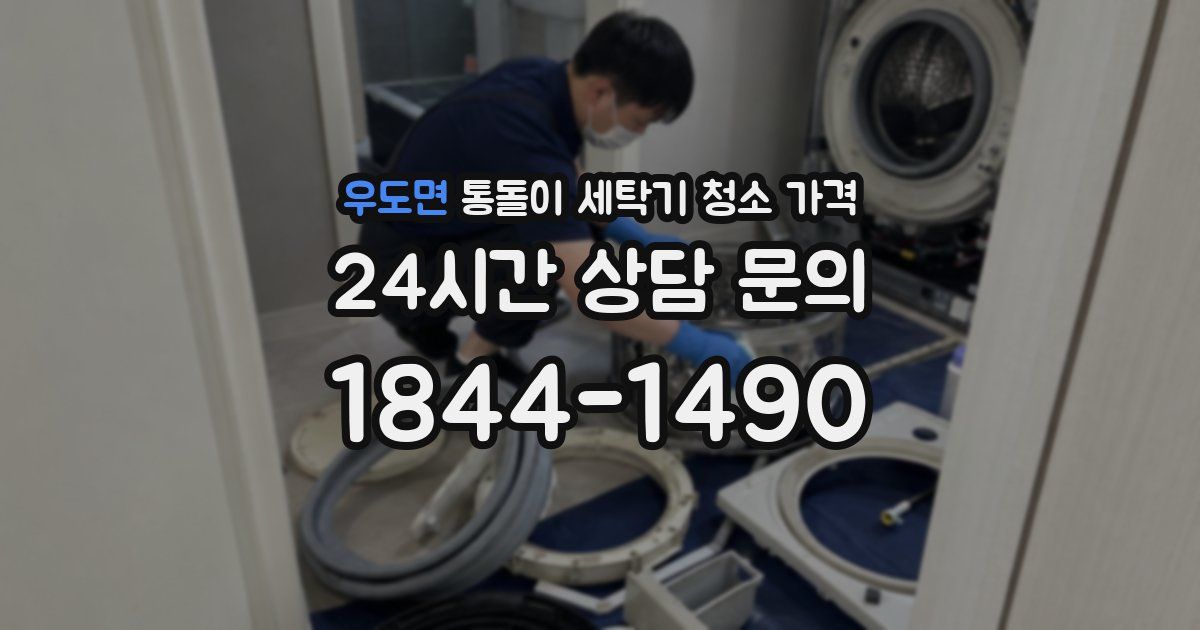 우도면 통돌이 세탁기 청소 가격