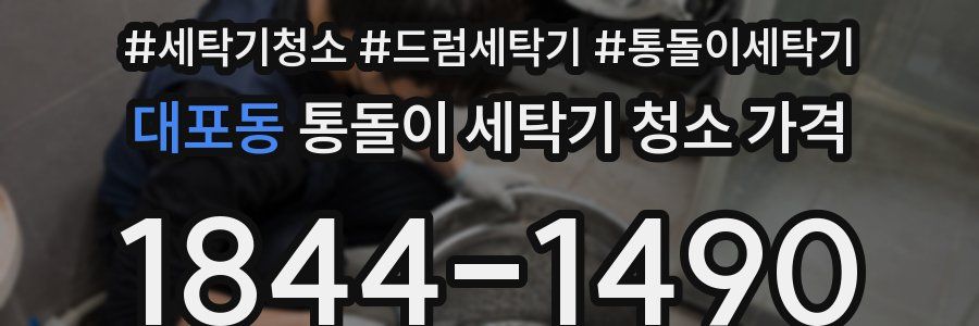 대포동 통돌이 세탁기 청소 가격