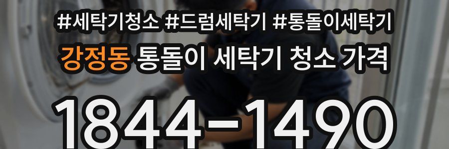 강정동 통돌이 세탁기 청소 가격