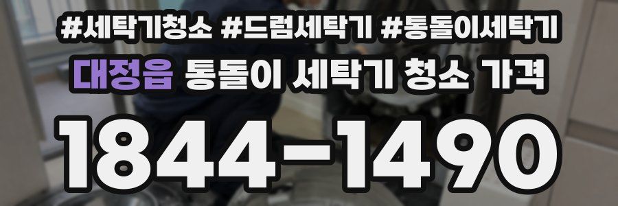 대정읍 통돌이 세탁기 청소 가격