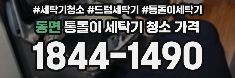 동면 통돌이 세탁기 청소 가격
