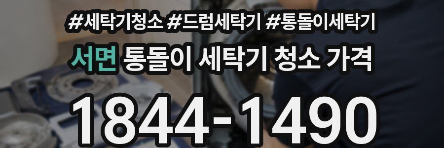 서면 통돌이 세탁기 청소 가격