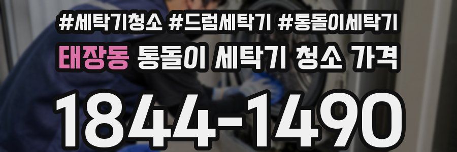 태장동 통돌이 세탁기 청소 가격