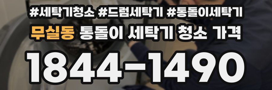 무실동 통돌이 세탁기 청소 가격