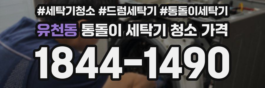 유천동 통돌이 세탁기 청소 가격