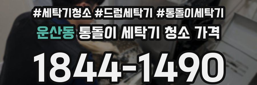 운산동 통돌이 세탁기 청소 가격