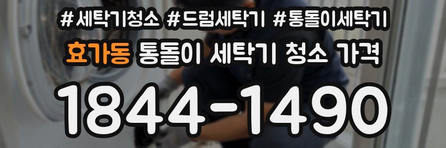 효가동 통돌이 세탁기 청소 가격