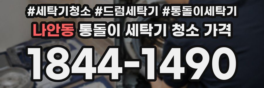 나안동 통돌이 세탁기 청소 가격