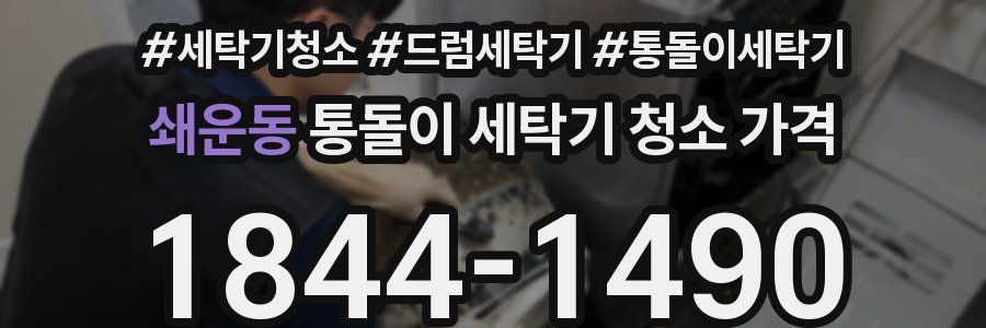 쇄운동 통돌이 세탁기 청소 가격