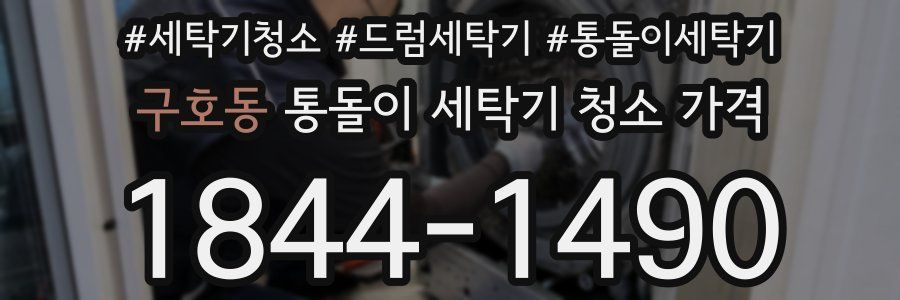 구호동 통돌이 세탁기 청소 가격