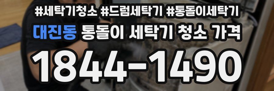 대진동 통돌이 세탁기 청소 가격