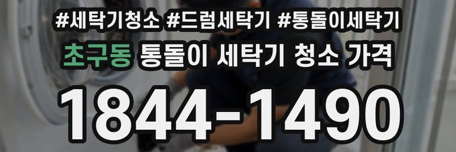 초구동 통돌이 세탁기 청소 가격