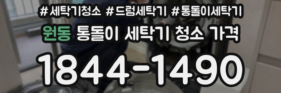원동 통돌이 세탁기 청소 가격