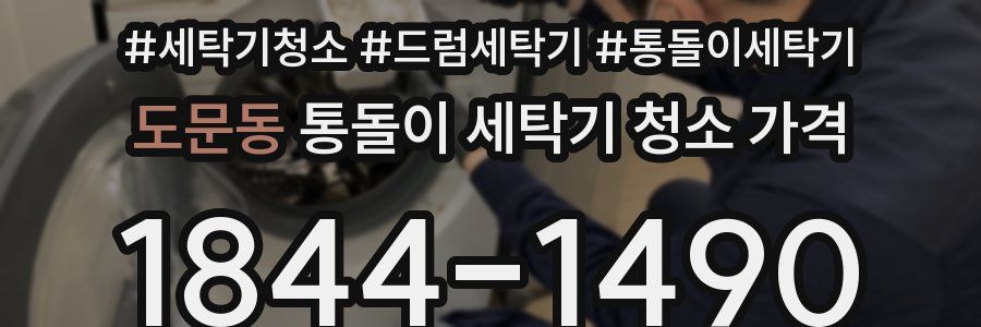 도문동 통돌이 세탁기 청소 가격