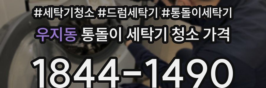 우지동 통돌이 세탁기 청소 가격