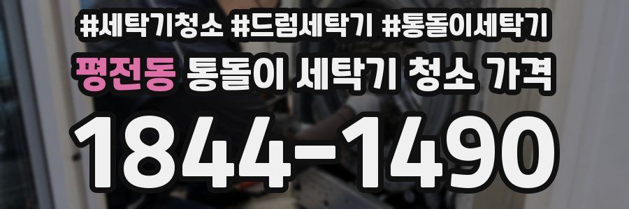 평전동 통돌이 세탁기 청소 가격