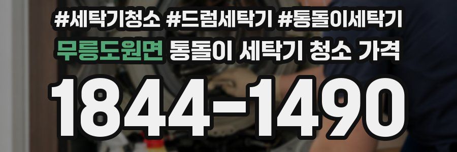 무릉도원면 통돌이 세탁기 청소 가격