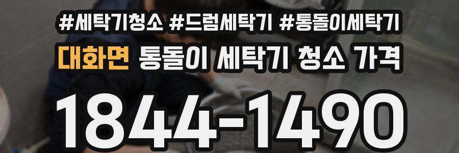 대화면 통돌이 세탁기 청소 가격
