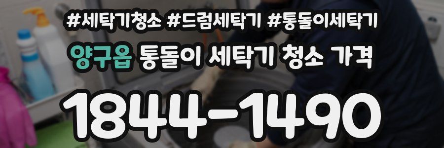 양구읍 통돌이 세탁기 청소 가격