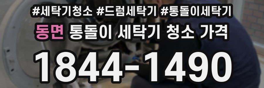 동면 통돌이 세탁기 청소 가격