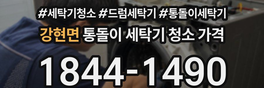 강현면 통돌이 세탁기 청소 가격