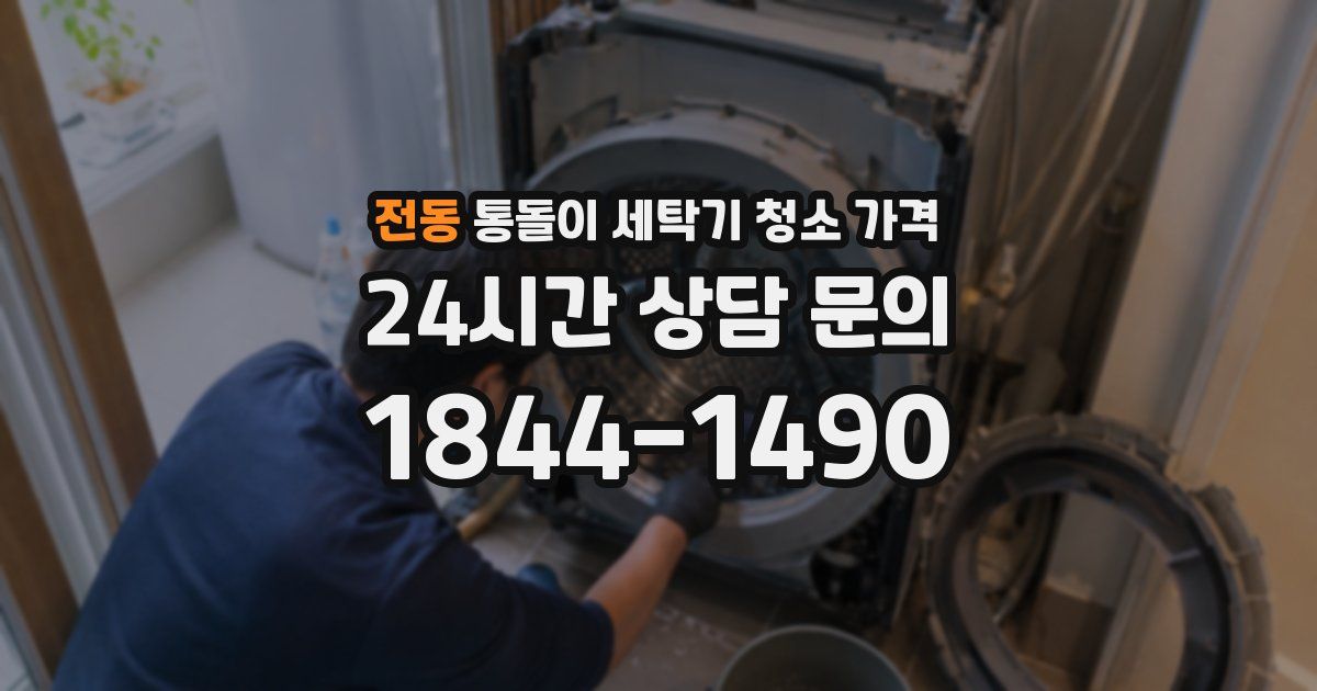 전동 통돌이 세탁기 청소 가격