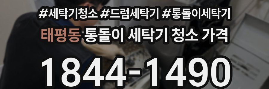 태평동 통돌이 세탁기 청소 가격