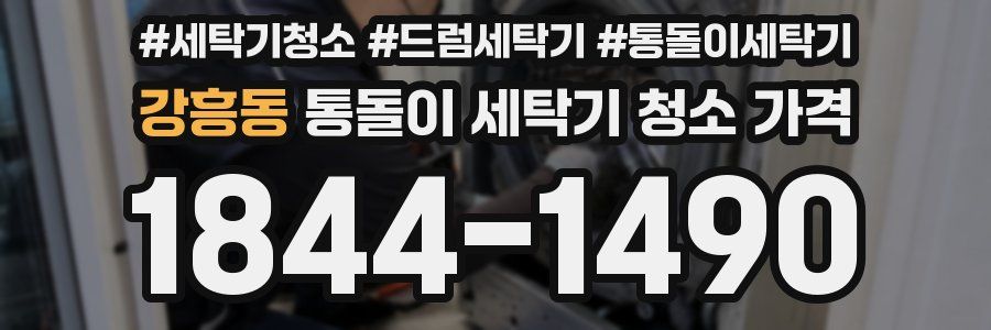 강흥동 통돌이 세탁기 청소 가격