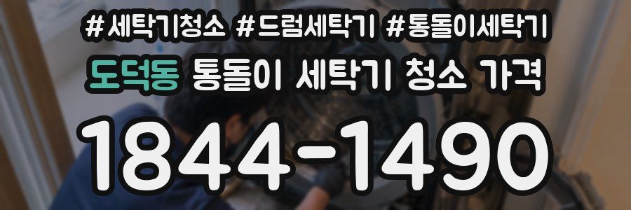 도덕동 통돌이 세탁기 청소 가격
