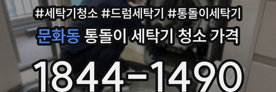 문화동 통돌이 세탁기 청소 가격